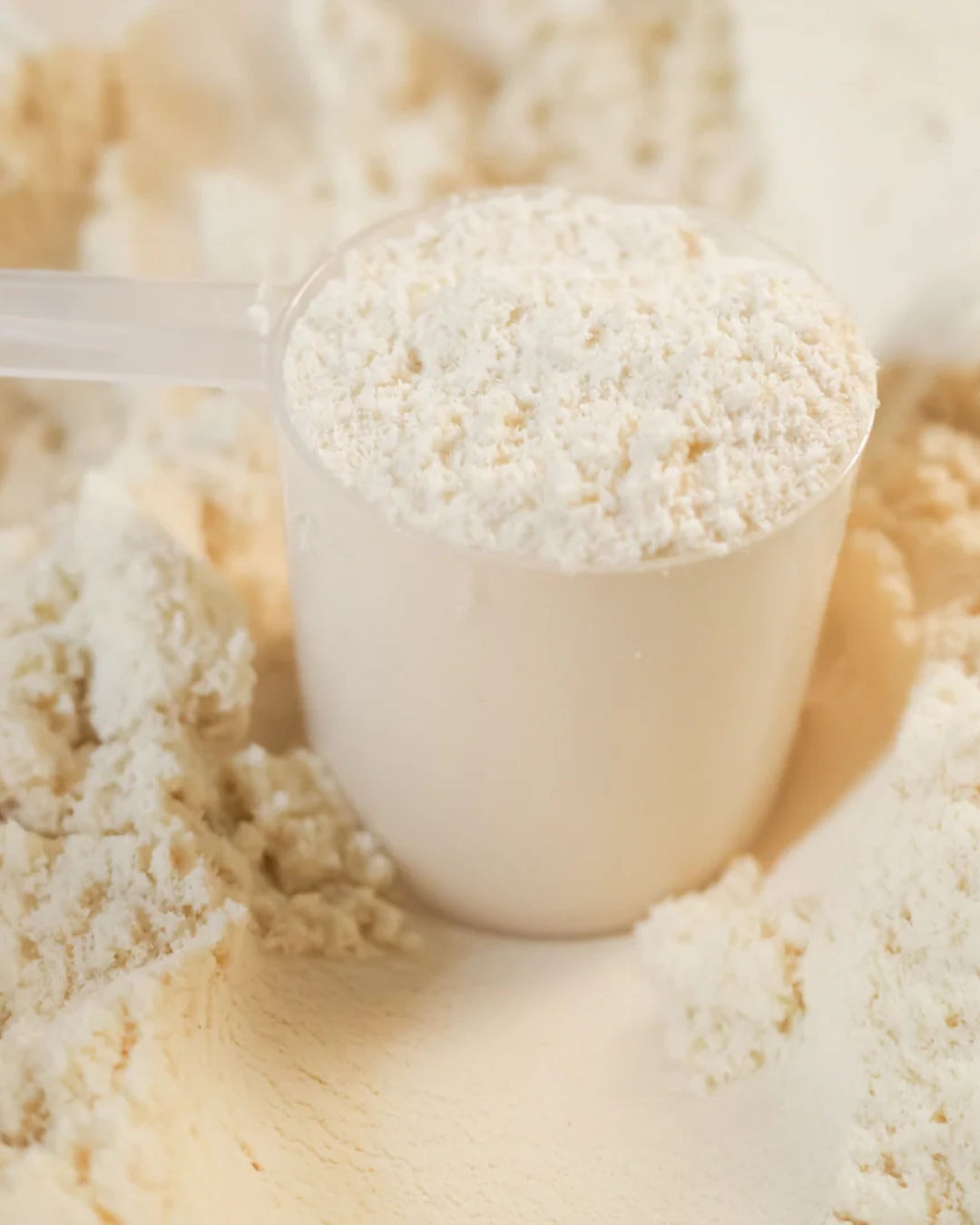 VITA-SOL Organic Plant Protein Vanilla