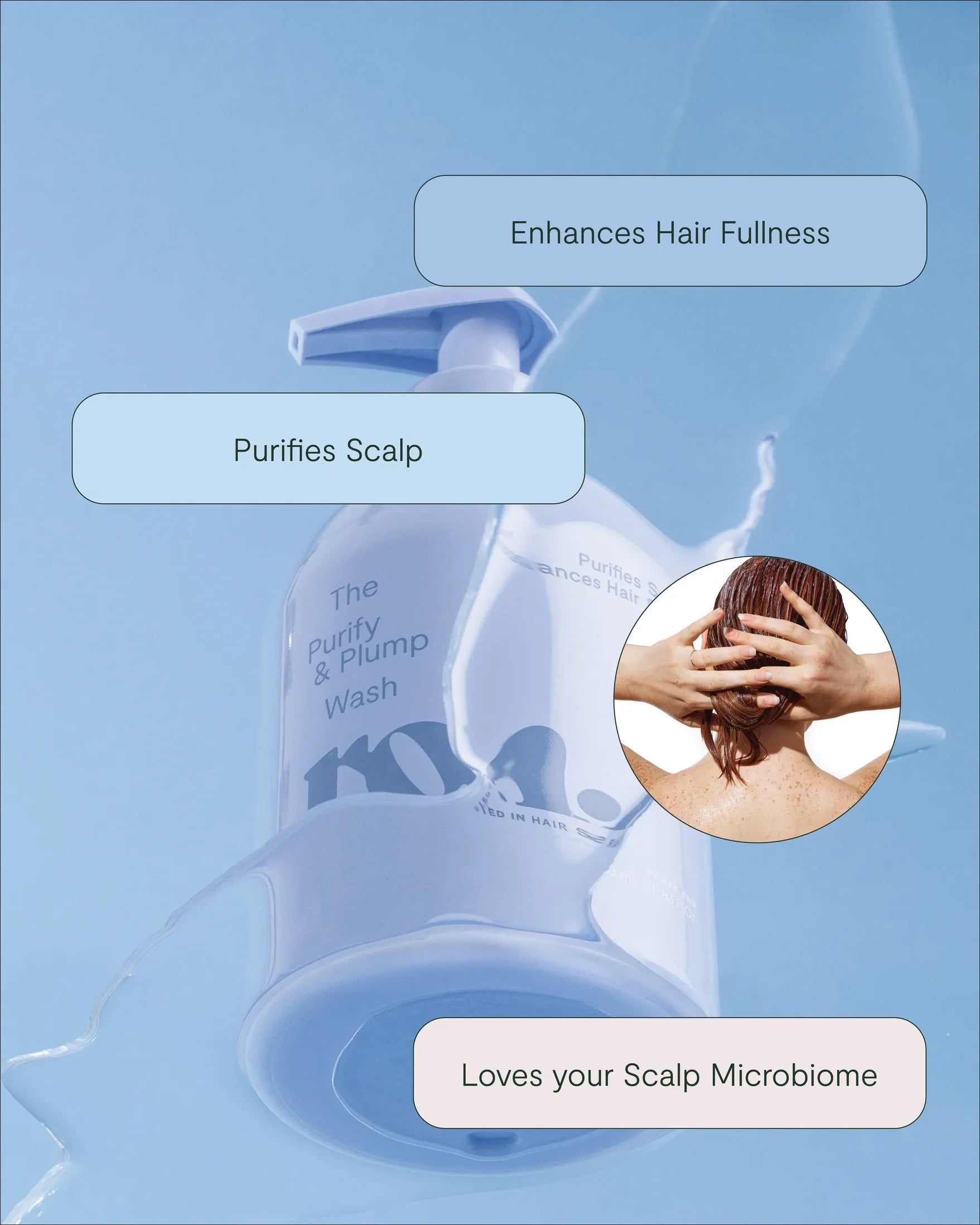 ROH The Purify & Plump Wash 350ml